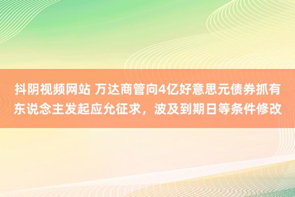 抖阴视频网站 万达商管向4亿好意思元债券抓有东说念主发起应允征求，波及到期日等条件修改
